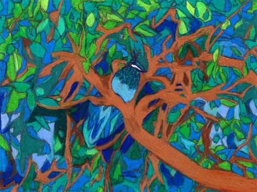 A Very Pretty Peacock in a Pear Tree