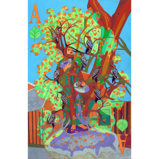 Apogee of an Apricot Tree